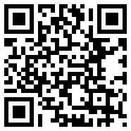 qq输入法纯净版LocalAI
