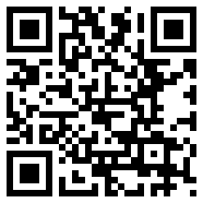 CHAT GPT 国内版