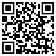 深入解析911.0.31版本