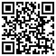 代号S1v1.1.3.2