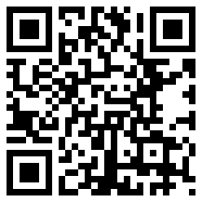 老王VNP2.2.31最新版