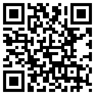 nova launcher破解版