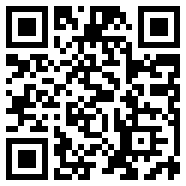 net framework 4.0vip