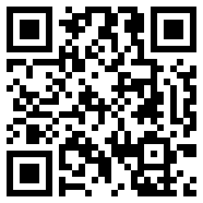 net framework 4.0NFT版