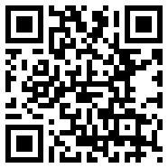net framework 4.0去中心版