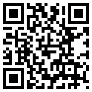陕西税务app最新版安装小说攻略