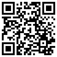 保时捷直装v6.0