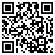 宝可梦Z版汉化版