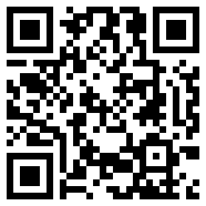 Subway.bug版beta1.0
