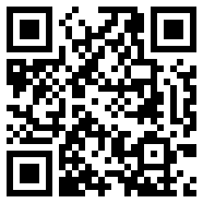 主题app