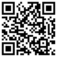 radmin3.2绿色版