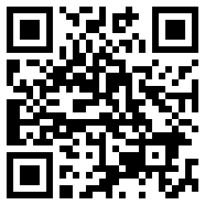 野豹加速器