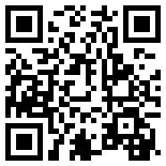 CHAT GPT 国内版