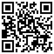 dynamicspot专业版