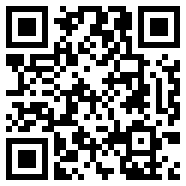 net framework 4.0中国版