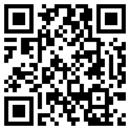 net framework 4.0小说版