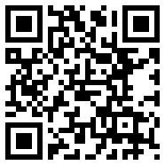 net framework 4.0战略版