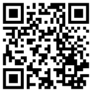 net framework 4.0游戏插件