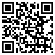 net framework 4.0GeoPulse