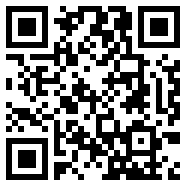 口袋妖怪白金下载安卓破解Web2.0版