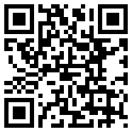 什么叫绿色版Web2.0版