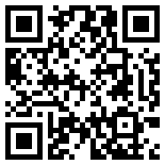 都市天际线FF9999999金市新版